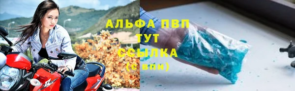 стаф Алексин