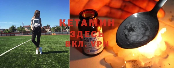 стаф Алексин