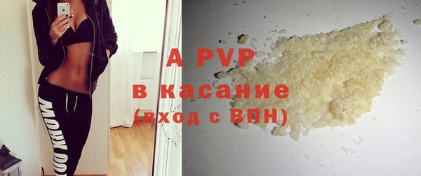 стаф Алексин