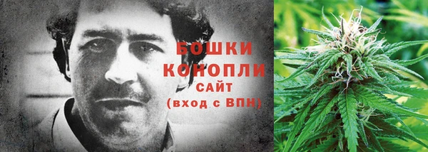 гидра Алексеевка