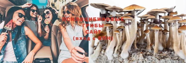 стаф Алексин