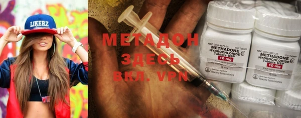 гидра Алексеевка